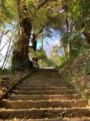 大宮神社(千葉県)
