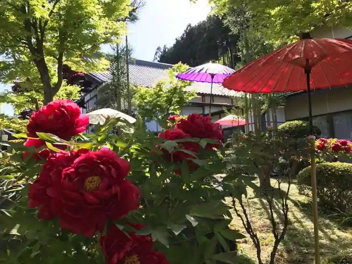 宝徳寺(群馬県)