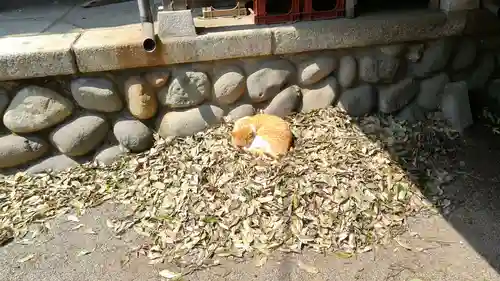雀神社(茨城県)