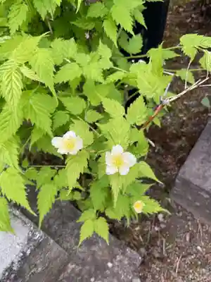照光寺(長野県)