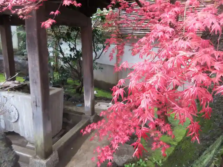 成就院の手水舎