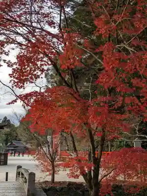 賀茂別雷神社（上賀茂神社）(京都府)