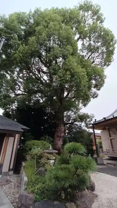 西方院の庭園