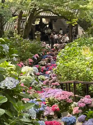 長谷寺(奈良県)