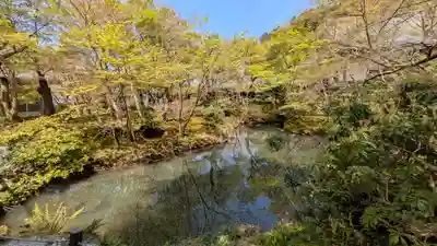 圓光寺(京都府)