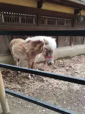 平塚八幡宮(神奈川県)