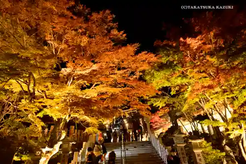 大山阿夫利神社の景色