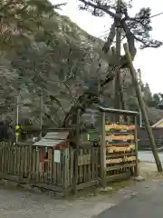 内々神社の自然