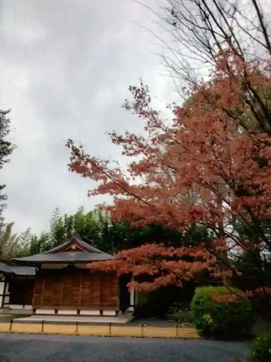 阿佐ヶ谷神明宮(東京都)