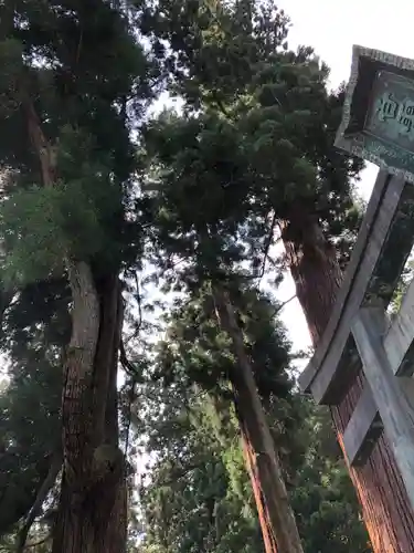 妙義神社の自然