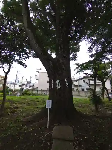 観音寺（世田谷山観音寺）(東京都)