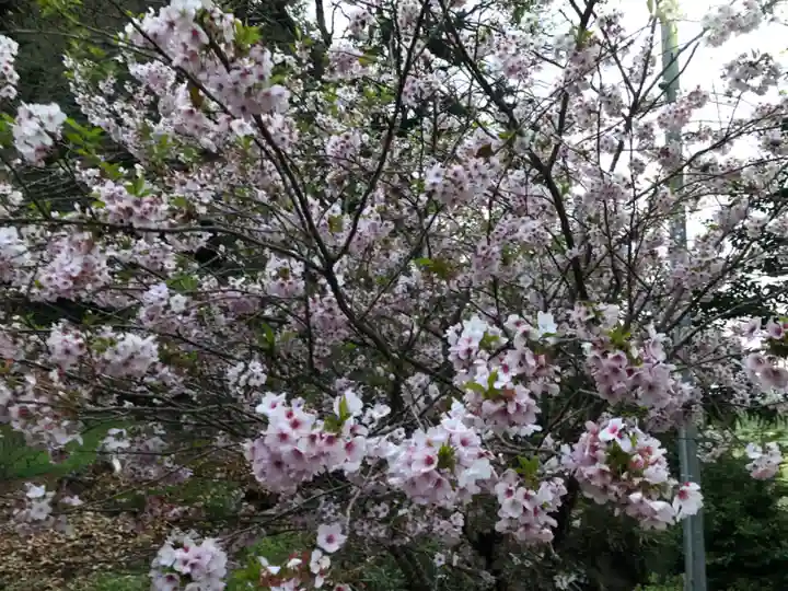奈具神社の自然