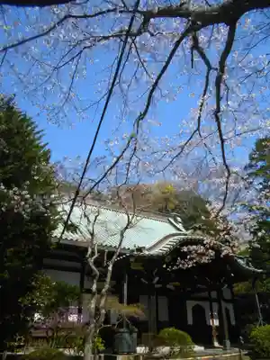 妙本寺の本殿・本堂