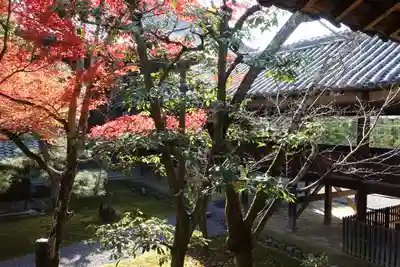 清凉寺の本殿・本堂