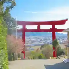 甲八幡神社の鳥居