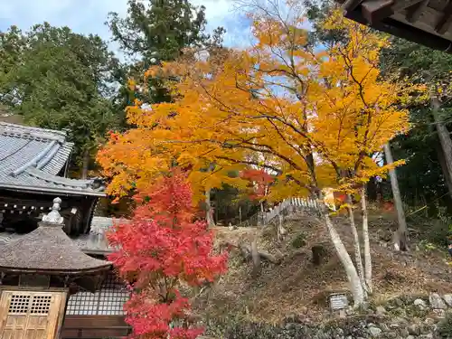 温泉寺(岐阜県)