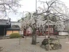 粉河寺の自然