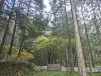 若宮神社(桧倉)(兵庫県)