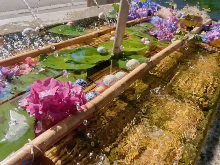 亀田八幡宮の手水舎