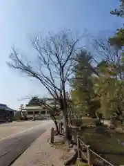 安城神社の建物その他