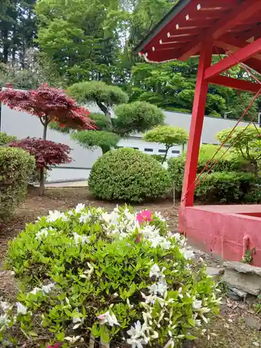 白狐山光星寺(山形県)