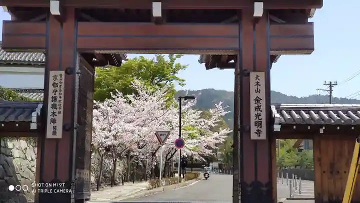 くろ谷 金戒光明寺の山門・神門