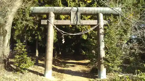 鷲神社の鳥居