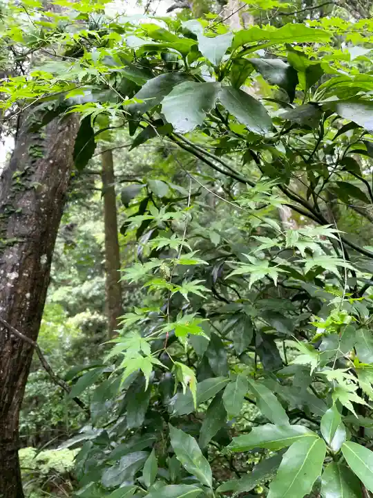 秩父御嶽神社(埼玉県)