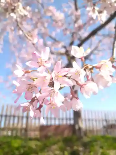 巳徳神社の周辺