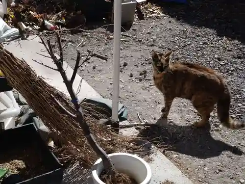 網戸神社(栃木県)