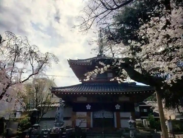 新井薬師(梅照院)(東京都)