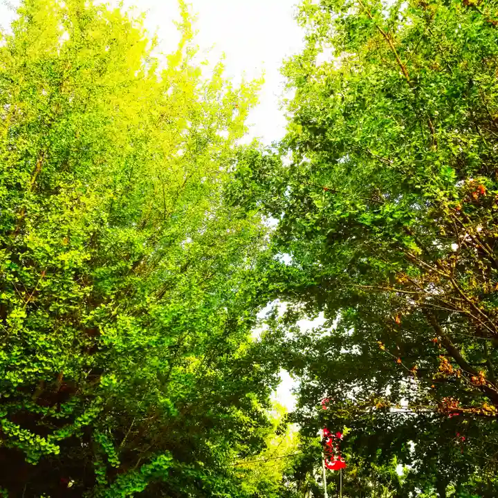 市谷亀岡八幡宮の自然