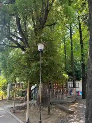 鳩森八幡神社の{uncategorized: "未分類", other: "その他", undefined: "問題あり", building: "その他建物", grave: "お墓", sacred_gate: "鳥居", guardian: "狛犬", statue: "像", buddha: "仏像", history: "歴史", nature: "自然", garden: "庭園", animal: "動物", pagoda: "塔", temizu: "手水舎", mountain_gate: "山門・神門", sanctuary: "本殿・本堂", subordinate: "末社・摂社", art: "芸術", scenery: "景色", jizo: "地蔵", ema: "絵馬", goshuin: "御朱印", omikuji: "おみくじ", items: "授与品その他", amulet: "お守り", goshuincho: "御朱印帳", eats: "食事", festival: "お祭り", votive_dance: "神楽", shichigosan: "七五三参", wedding: "結婚式", experience: "体験その他", initially: "初詣", around: "周辺", anti_infection: "感染症対策"}