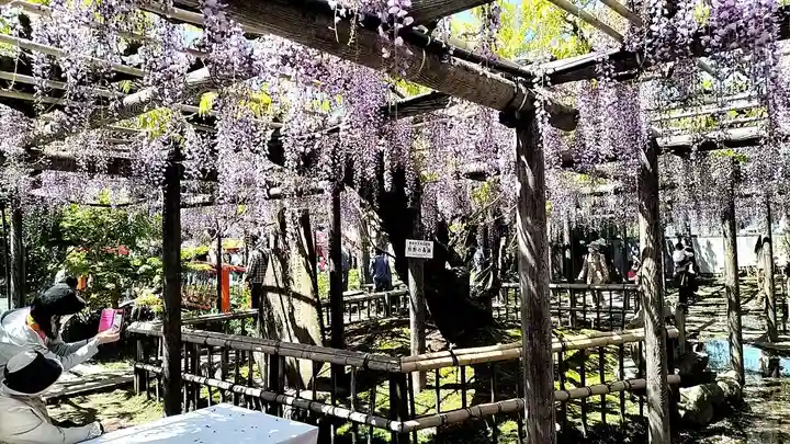 行興寺(静岡県)