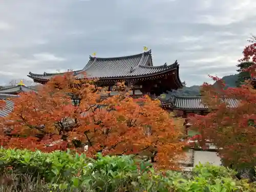 平等院(京都府)