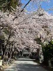 冨士御室浅間神社の自然