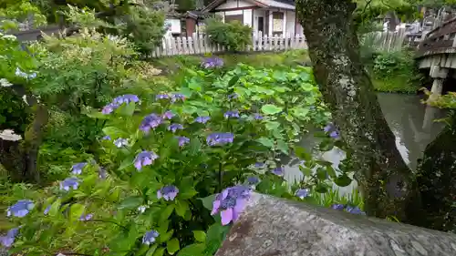 くろ谷 金戒光明寺(京都府)