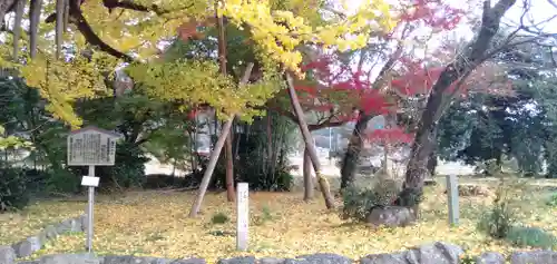 國分寺（国分寺）の自然