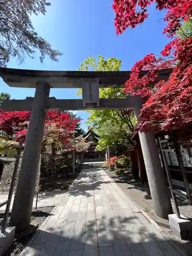 彌彦神社　(伊夜日子神社)の鳥居