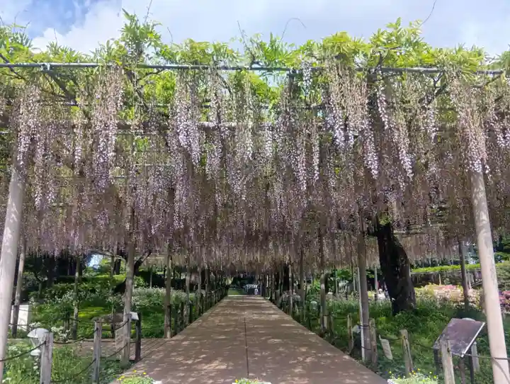曼陀羅寺(愛知県)