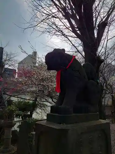 市谷亀岡八幡宮の狛犬