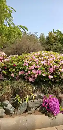 櫻木神社の自然