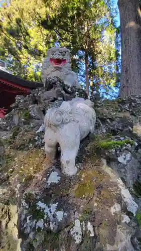 富士山東口本宮 冨士浅間神社の狛犬