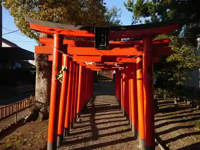 金太郎稲荷神社の鳥居