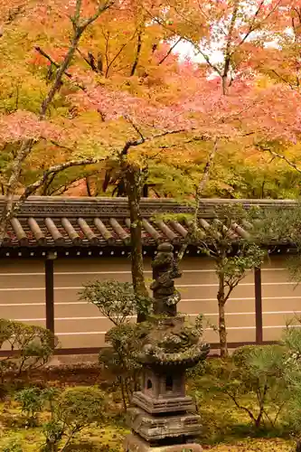 禅林寺（永観堂）(京都府)