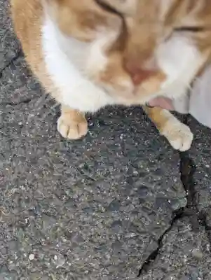 早池峯神社(岩手県)