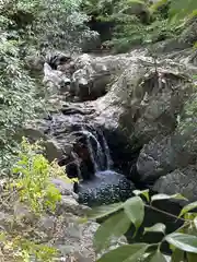 水間寺の自然