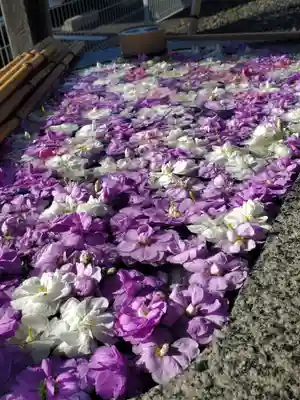 阿邪訶根神社(福島県)