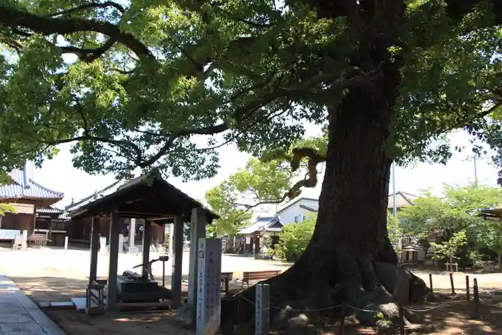 長尾寺(香川県)