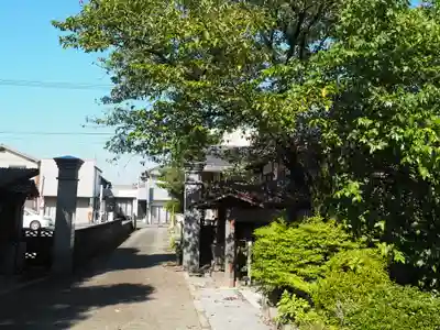 大師寺の自然